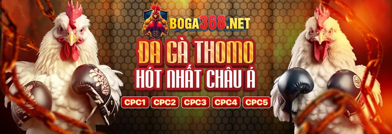 Cá cược thể thao tại Mayclub Nhà Cái